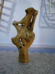 bois-perce